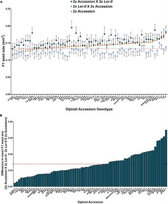 Parent-of-Origin Effects on Seed Size Modify Heterosis Responses in Arabidopsis thaliana